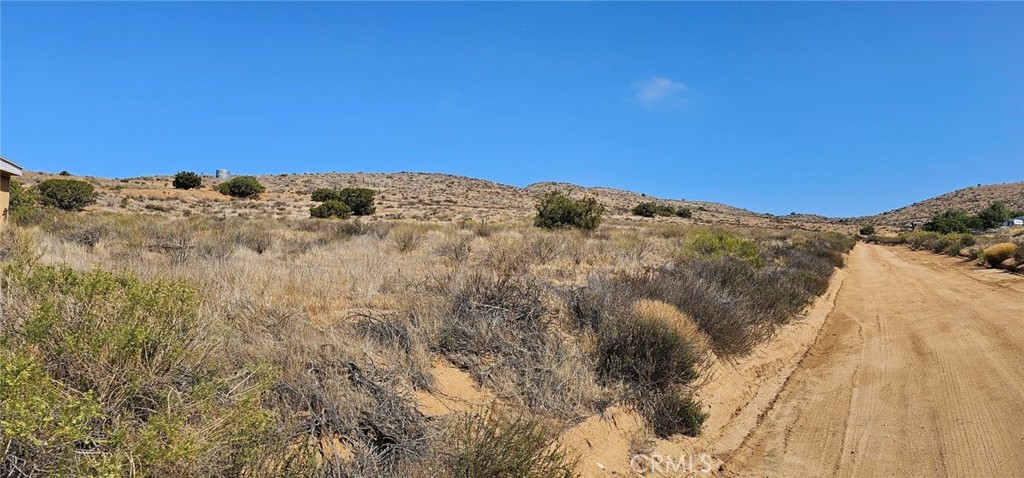 Custom Acton (CACTO) - Land