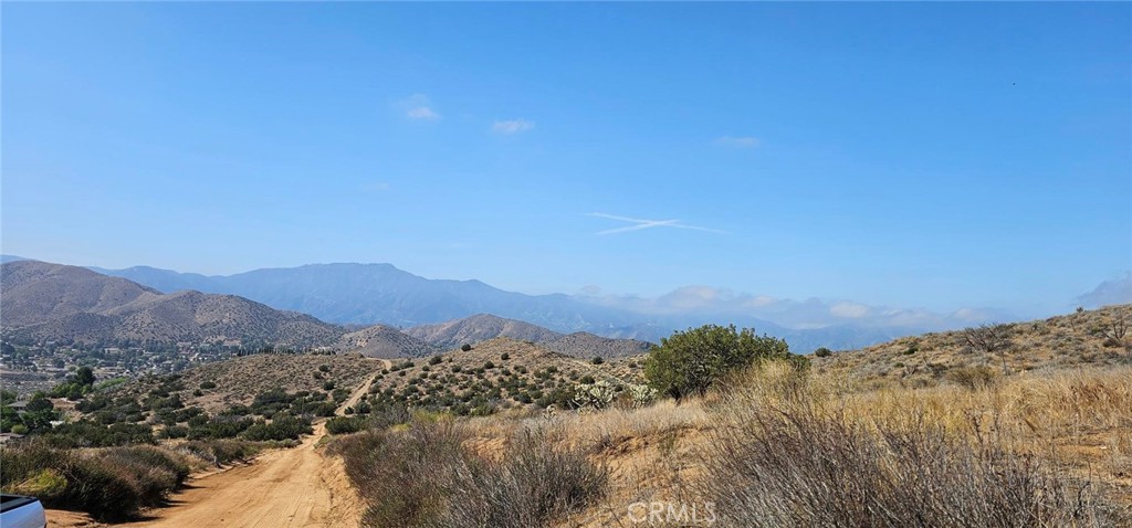 Custom Acton (CACTO) - Land