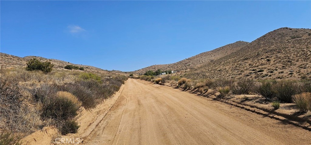 Custom Acton (CACTO) - Land