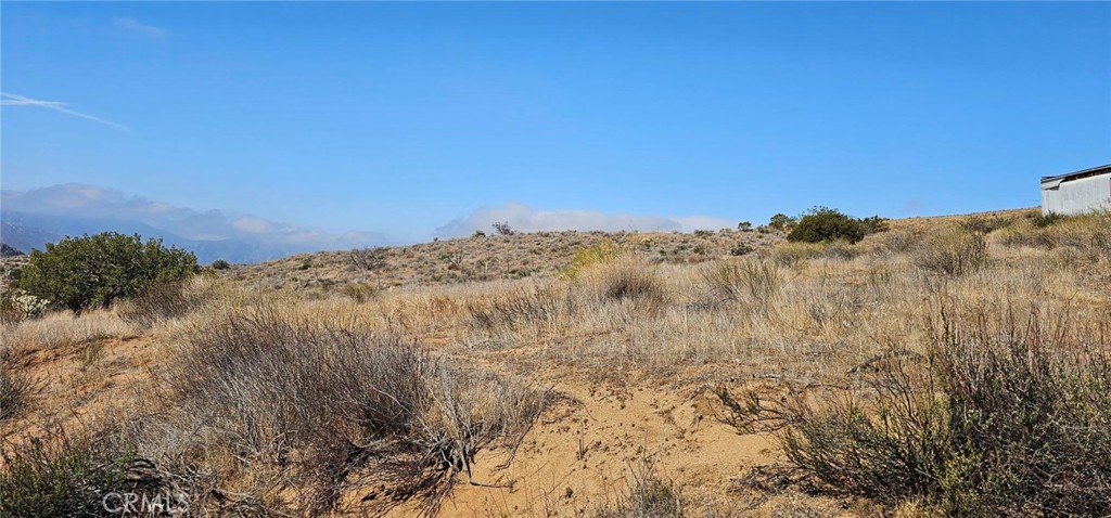 Custom Acton (CACTO) - Land