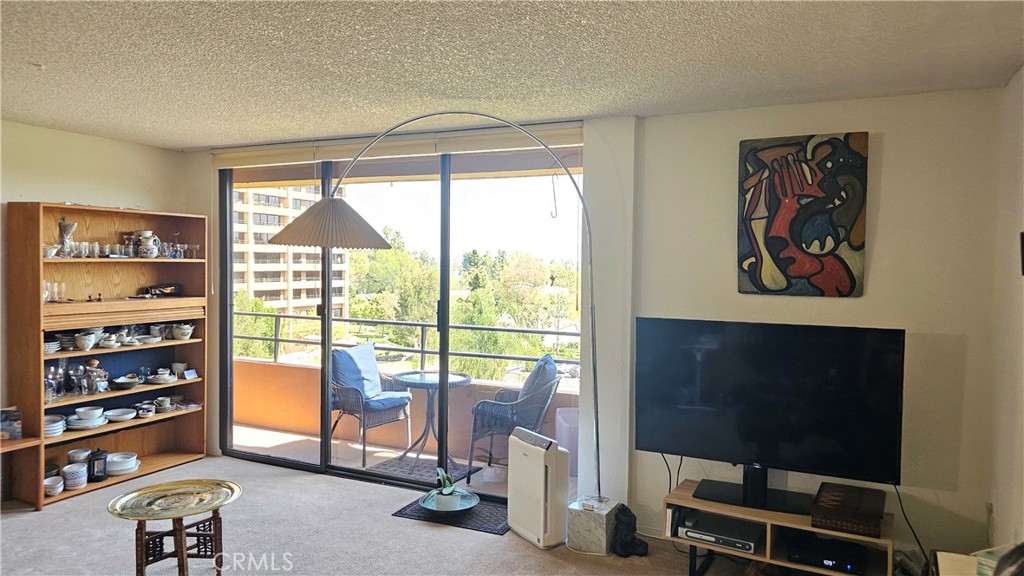 24055 Paseo Del Lago 562