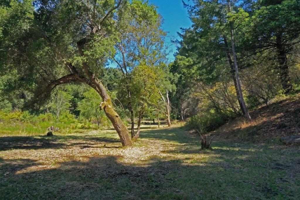 Nestled in the heart of the majestic redwood forest, guarded by one of the few old-growth redwoods remaining in Boulder Creek, this stunning 2.5-acre parcel offers a rare blend of sun and privacy. Access from the Coffeeberry cul-de-sac begins from the listing sign post on the left, and ends near the fire hydrant on the right side of the street. The fire hydrant is maintained by Big Basin Water Company. There are two nearly flat areas on the property. The right side of the large meadow begins at the cul-de-sac and extends back away from the road. It opens up to nearly an acre of sunny, oak-strewn beauty. The spacious upper area is reachable by a walkable slope at the very end of the cul-de-sac. The hill offers sweeping mountain views. Just one mile from Boulder Creek Golf Course and only five miles from the world-renowned trails and ocean vistas of Big Basin State Park, this property offers endless opportunities for outdoor enjoyment. This is a recreational lot, and is not buildable. What a rare opportunity to buy your own private park! Enjoy an entire day of exploring, climbing, picnicking, and relaxing solo or with guests. The mountains are calling.