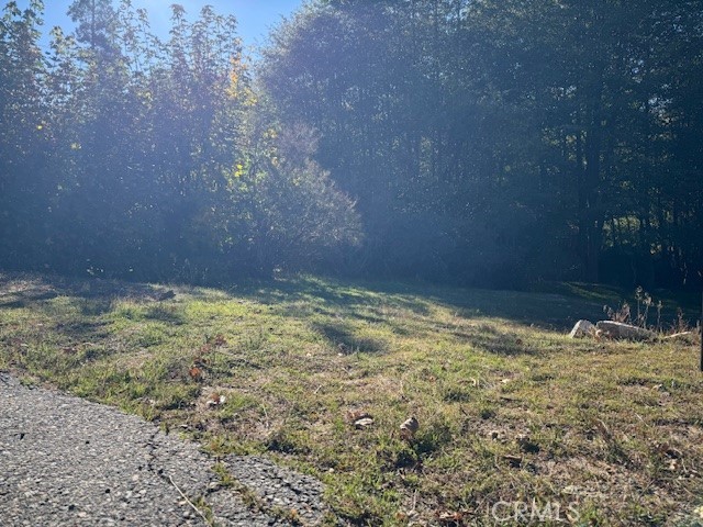 Cedar Glen (CEDG) - Land