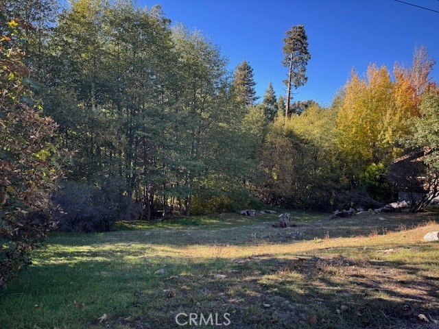 Nestled in the heart of the San Bernardino National Forest, this exceptional vacant land parcel at 430 Alder Ln is a quarter-acre (10,800 sq ft) comprised of 3 APNs - 0330167180000, 0330167190000, and 0330167200000. Nearly flat, this lot is a buildable blank canvas with access to public water, gas, and electricity, but no sewer. Within walking distance of Deep Creek Trails and 5 minutes from the Cedar Glen Malt Shop and other iconic businesses in the Lake Arrowhead resort area. Creek is next to the lot. Zoned for residential use, visit the site and imagine what you will do with it. Agents and prospective buyers to confirm lot size, dimensions, lot lines, access to utilities, etc.