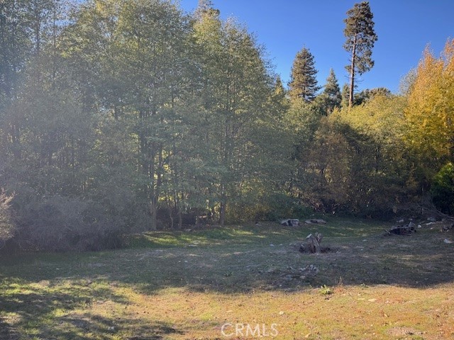 Cedar Glen (CEDG) - Land