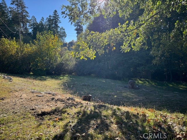 Cedar Glen (CEDG) - Land