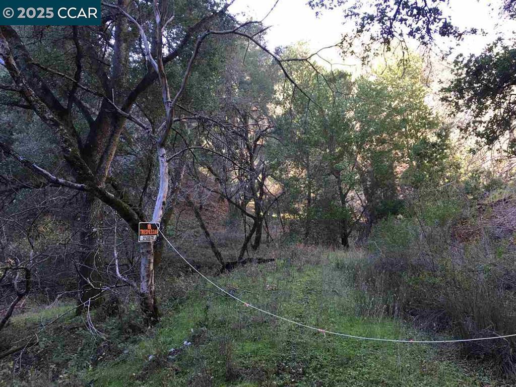 Beautiful 37 + acre oak-studded lot in Westside Alamo. Access is on Lark Lane behind the main gates. Fantastic location close to Alamo Shopping Center and the Stone Valley entrance to #680. The best method to view the property is the Aerial view. A gem in the rough.