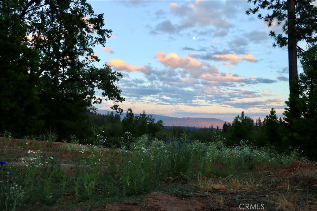 53235 Finegold Creek Court