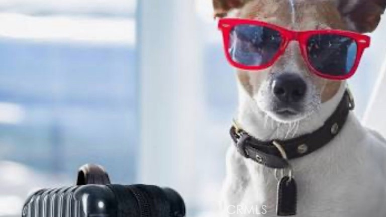 Premier Global Pet Transportation Service - Established Market Leader
This thriving pet transportation business represents a unique opportunity to acquire a well-established operation serving the growing global pet relocation market. Founded in 2018 and based in Irvine, California, this company has built an exceptional reputation providing specialized transportation services for pets worldwide.
Financial Performance:
- Annual Revenue: $1,200,000
- Asking Price: $800,000
- Strong revenue-to-asking price ratio of 1.5x
- Consistent operations since establishment
Operational Highlights:
- 8 dedicated employees supporting daily operations
- Turnkey systems and processes already established
- Relocatable business model offering geographic flexibility
- Serves the expanding pet services industry, benefiting from increasing pet ownership trends
- Global service capability distinguishing it from local competitors
Business Strengths:
- Established customer base with proven demand
- Specialized niche in pet logistics with high barriers to entry
- Strong operational foundation built over 6 years
- Comprehensive service infrastructure in place
- Strategic Orange County location with access to major transportation hubs
Growth Potential:
- Pet industry continues robust growth with increased spending on premium services
- International pet relocation market expanding with global mobility trends
- Opportunity for geographic expansion or service line extensions
- Established systems allow for scalable growth under new ownership
This business appeals to buyers passionate about animal care or those seeking entry into the specialized pet logistics sector. The seller is retiring after building a successful operation with strong fundamentals, offering the next owner a proven platform for continued growth and success.
With its combination of steady revenue, established operations, and growth potential in an expanding market, this represents an exceptional acquisition opportunity in the pet services industry.