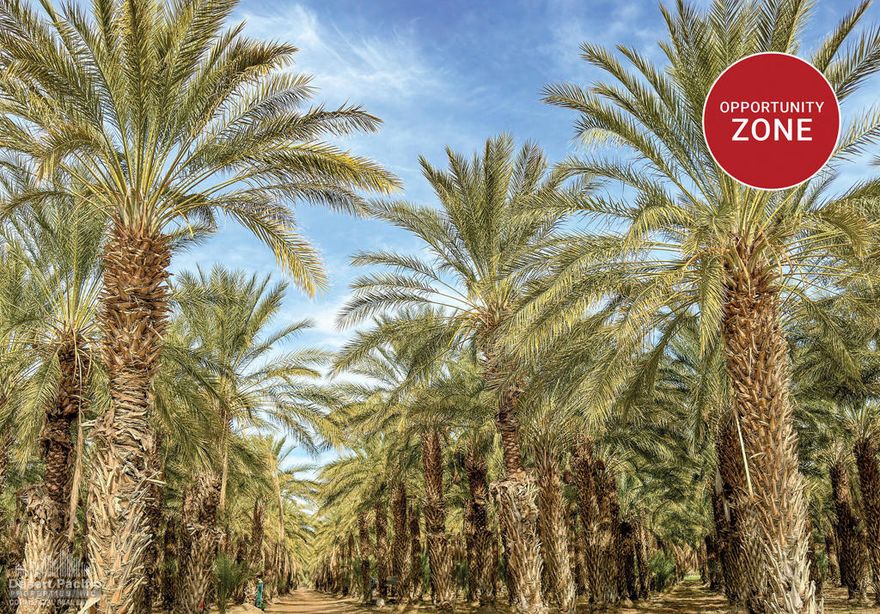 (Triple E Ranch) All or Part. 20.5 AC - 856.47 AC Portfolio of 8 Ranches. Approx. 5,942 organic date trees located on the property. Easy access to Expressway 86. 1.5 miles from The Thermal Club, a premier, private luxury motorsports track. 2 miles to Jacqueline Cochran Regional Airport. In Opportunity Zone, providing potential tax incentives. Abundant and affordable Coachella Valley Water District (CVWD) irrigation water, one of the lowest water rates in California. *Brochure & Offering Memorandum can be downloadable in 'Document' tab