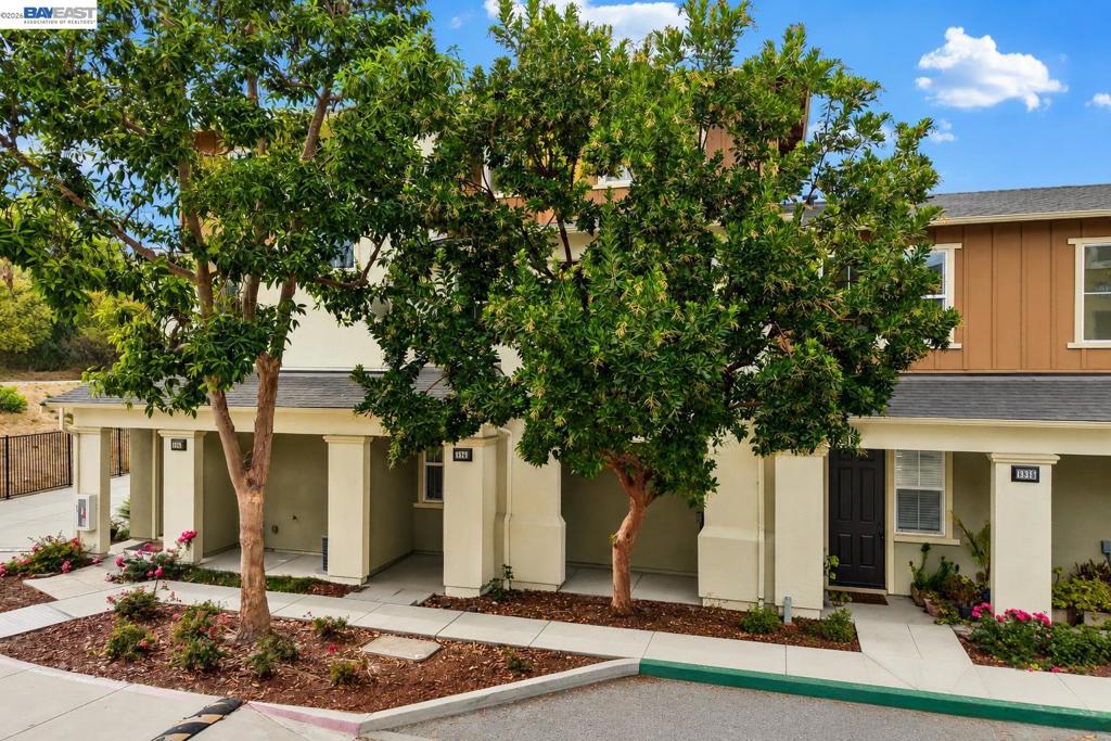 1339 Nestwood