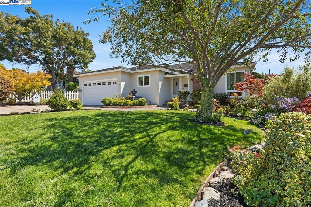 Welcome to this charming 3-bedroom, 1.5-bath Castro Valley gem! Featuring a beautifully updated kitchen and baths with granite and marble countertops, hardwood and tile floors, fresh exterior and interior paint, and a durable steel tile roof - this home blends style and comfort. A picturesque cherry blossom tree greets you at the front yard, while the backyard offers a peaceful garden retreat filled with vibrant flowers and fruit trees—perfect for relaxing and entertaining. Enjoy the convenience of a 2-car garage with washer and dryer, plus two additional storage sheds in the back yard. Fully move-in ready home that radiates warmth inside and out.