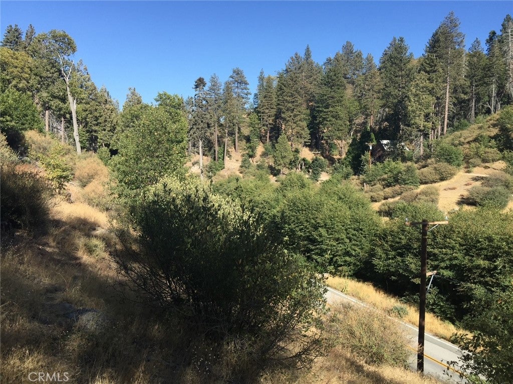29776 Hook Creek