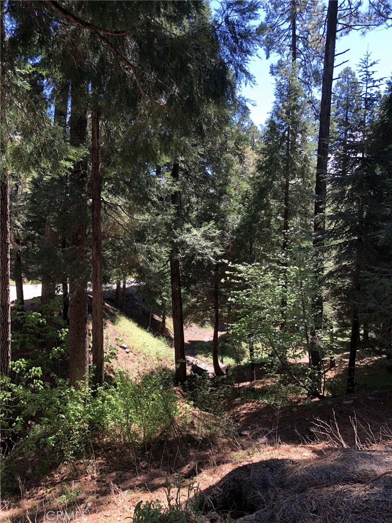 26396 State Highway 189