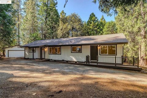 Photo of 23656 Lightning Ln Ln, Pioneer, CA 95666 (MLS # 41115868) Photo of 23656 Lightning Ln Ln, Pioneer, CA 95666 (MLS # 41115868)
