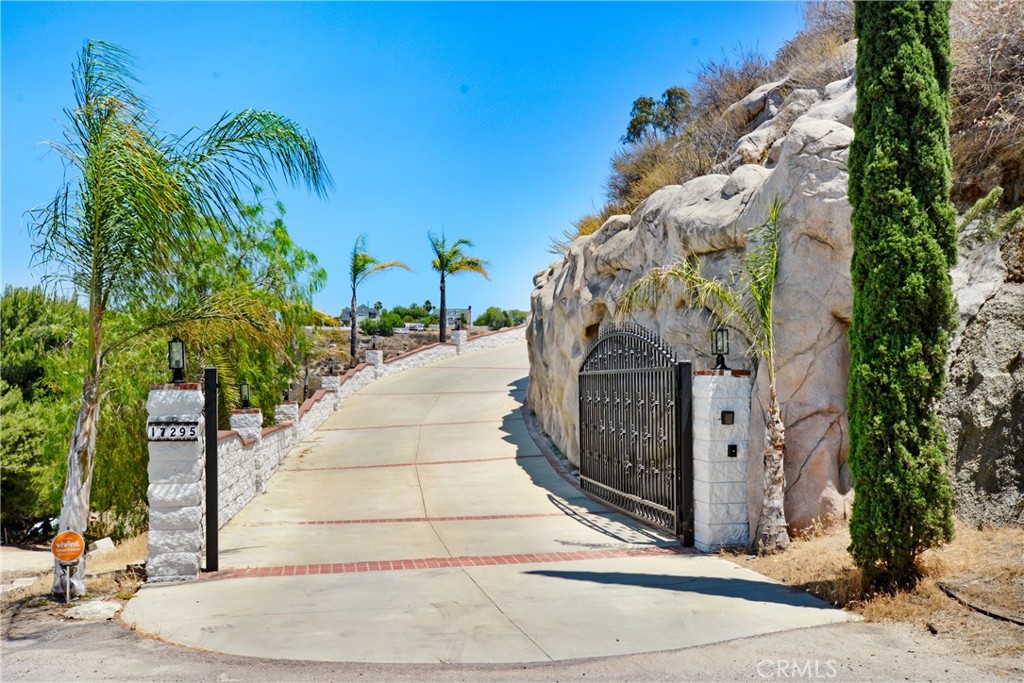 17295 Ridge Canyon Drive