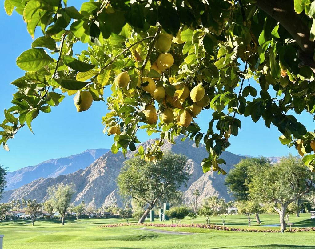 The Citrus - Residential Lease
