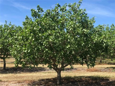 Photo of 17981 Los Cerritos, Snelling, CA 95369 (MLS # MC26064519)