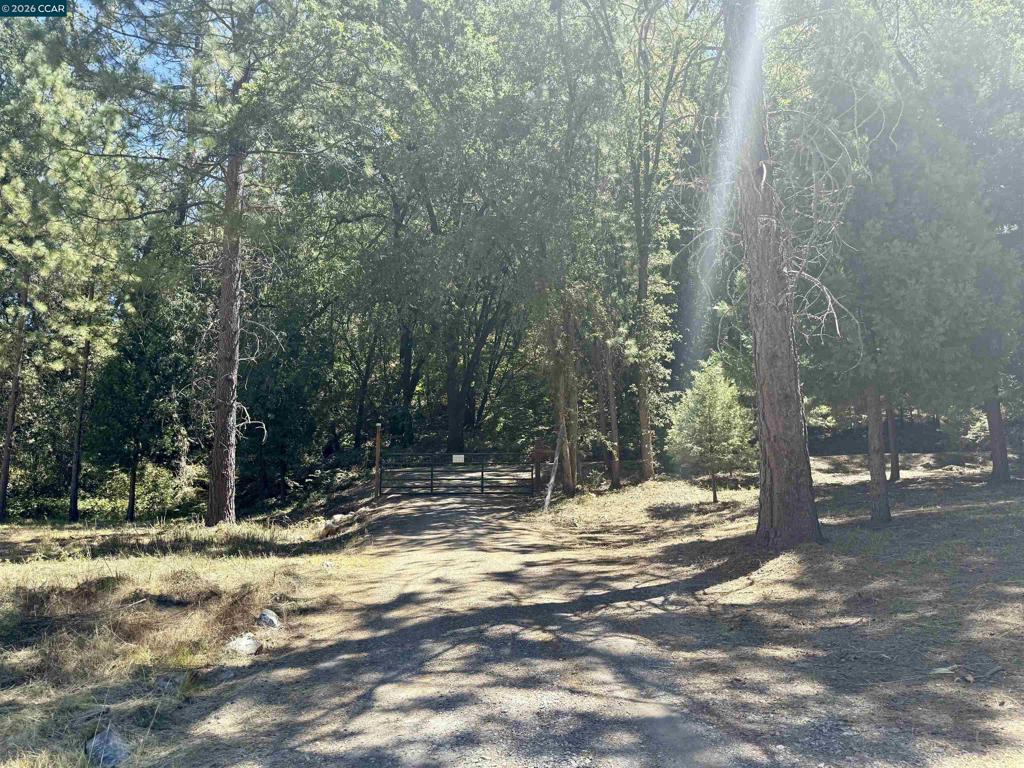 4578 Pretty Good Rd