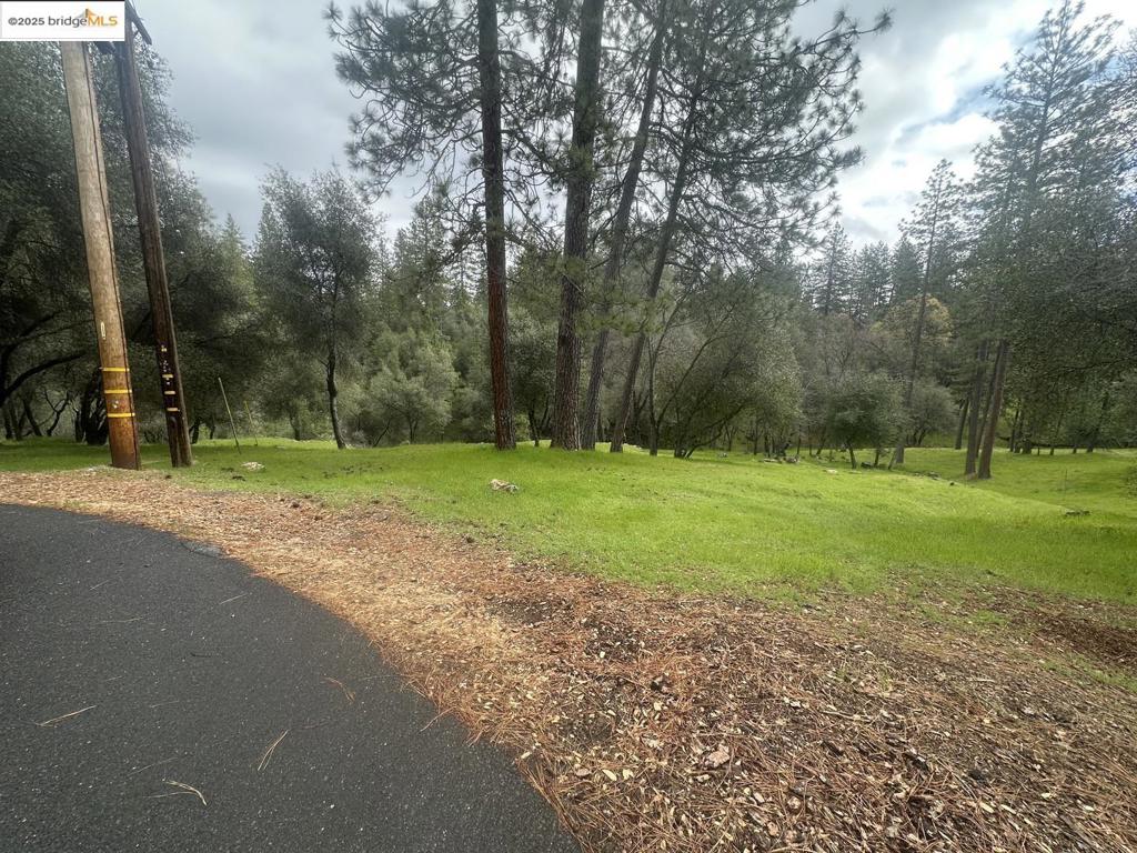 Rare 1.6 acre residential lot on a quiet cul-d-sac with a seasonal stream. Preliminary building permits begun. Owners plans to put a prefab home on site for $188k that meets HOA requirements (1250 sq ft) able to provide. Two lots that were merged together, but only pay one HOA fee. Plenty of privacy and lots of large trees. The lot is spacious, well tree'd and is the site of 1849 Gold Rush foundations. Power, water and sewer hook-ups are all available. This property is located in the gated community of Pine Mountain Lake (PML), in the 1849 Gold Rush town of Groveland, "The Northern Gateway to Yosemite National Park". PML provides the following amenities to property owners and their guests; private lake, swimming pool tennis & pickle-ball courts, hiking trails and more. Available to the public are a championship 18-hole golf course with country club, equestrian center, airport and campgrounds. Groveland provides fine dining, shopping, entertainment and all other desired amenities.