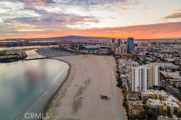 1310 E Ocean Boulevard 1007