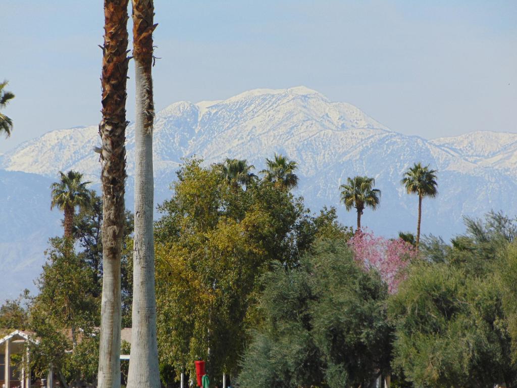 Suncrest Country Clb - Residential