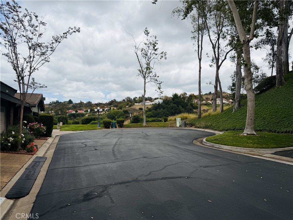 6541 E Paseo Goya