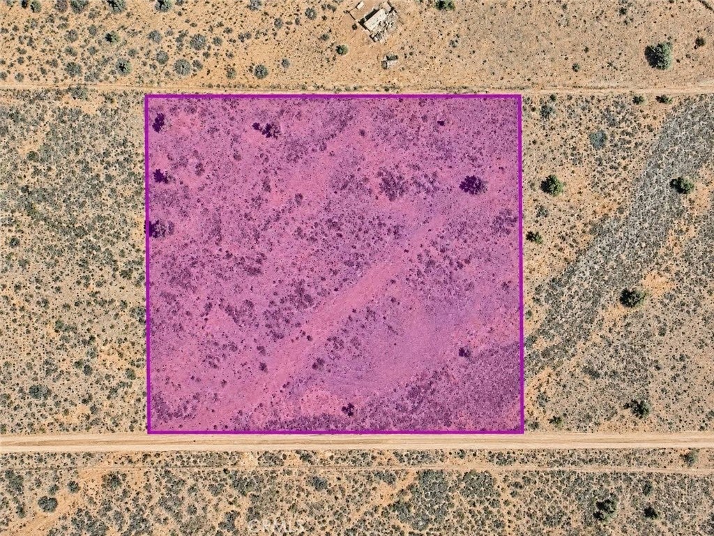 1 Acacia