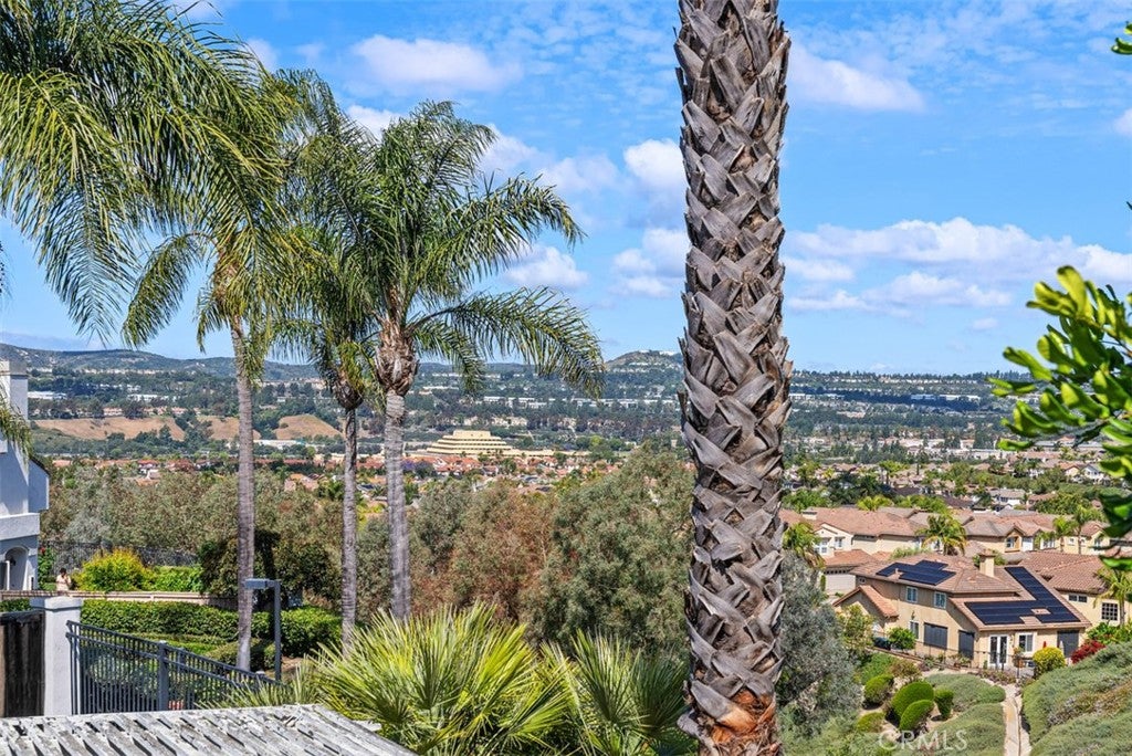 24997 La Mangusta, Laguna Niguel CA 92677 - Photo 22