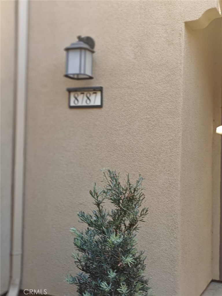 8787 Wanderlin Place