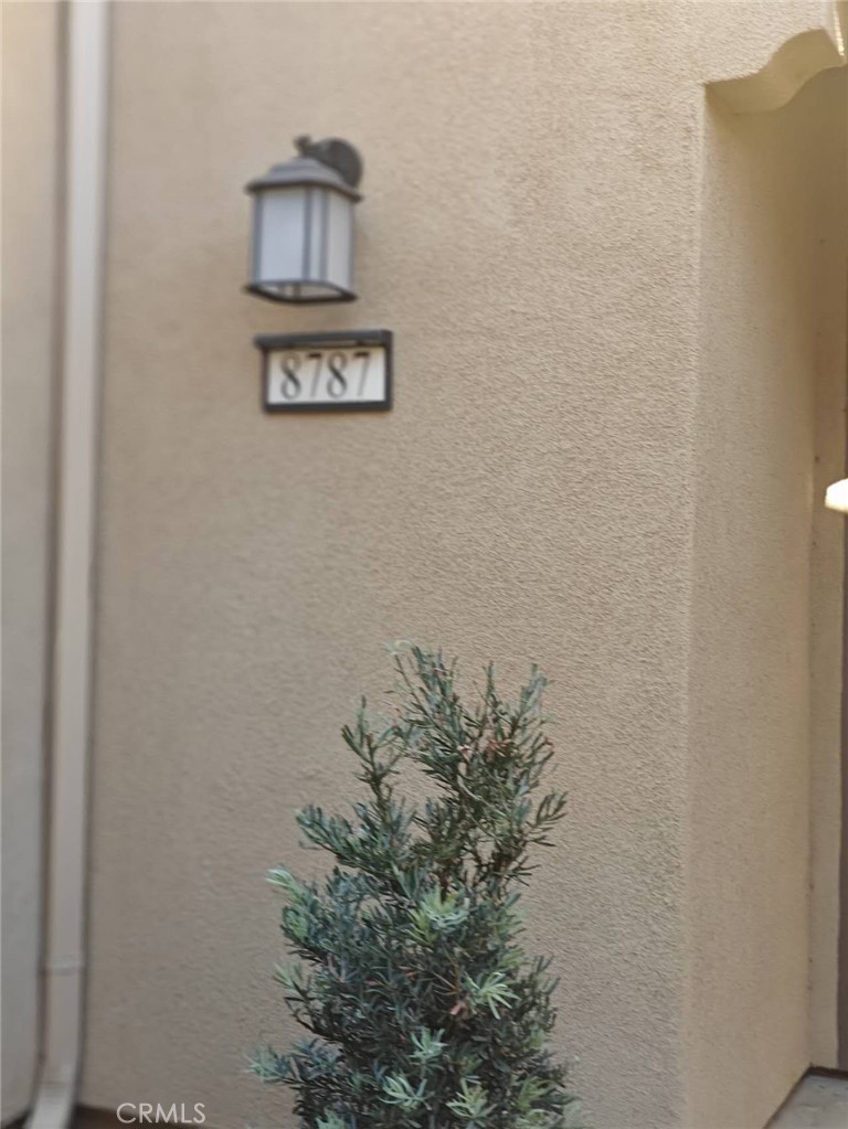 8787 Wanderlin Place