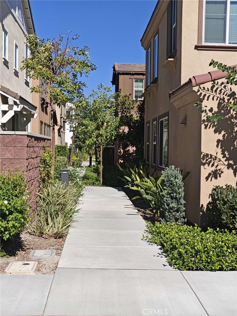 8787 Wanderlin Place