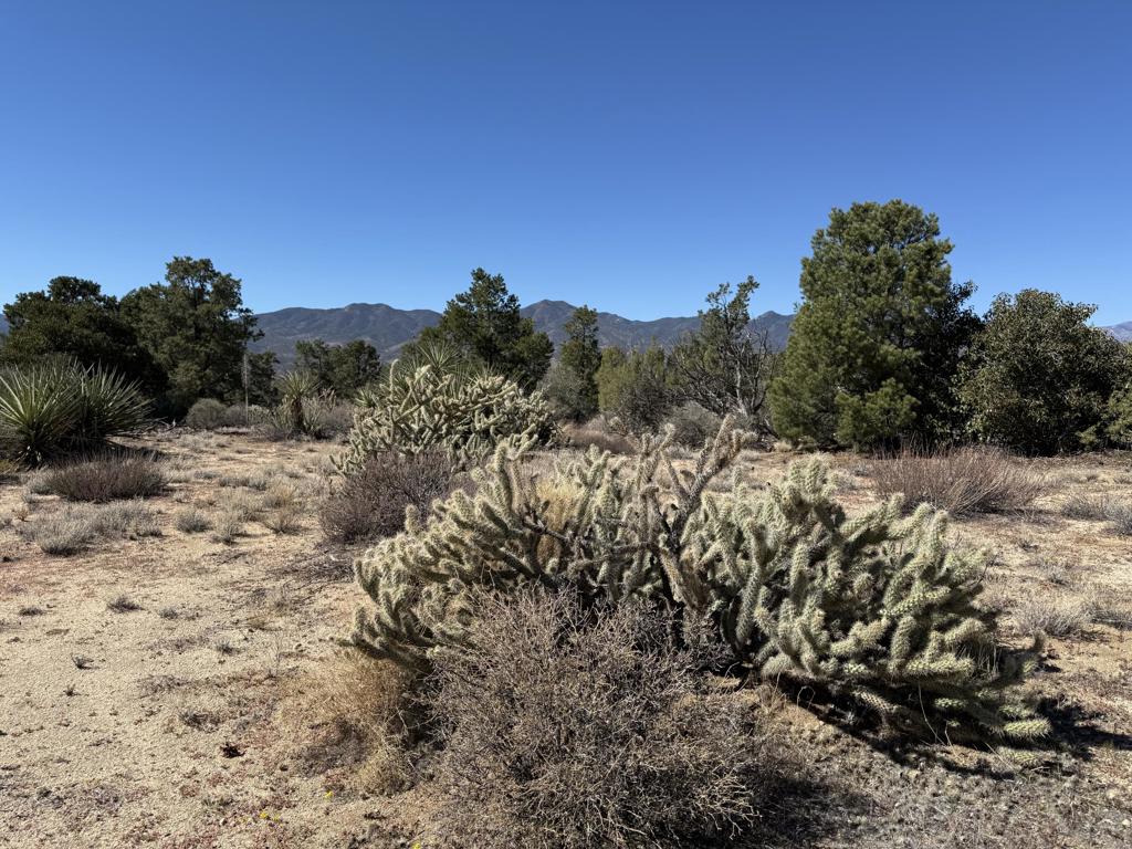 Alpine Village/Pyn P - Land