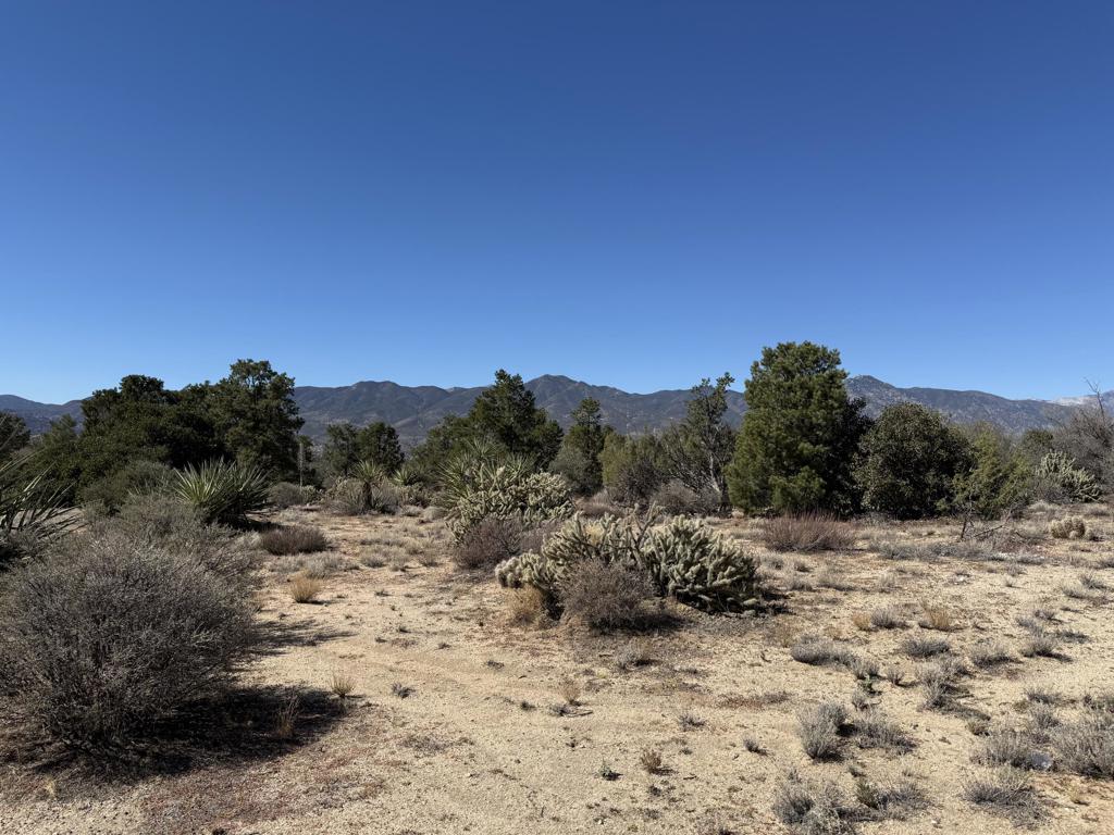 Alpine Village/Pyn P - Land