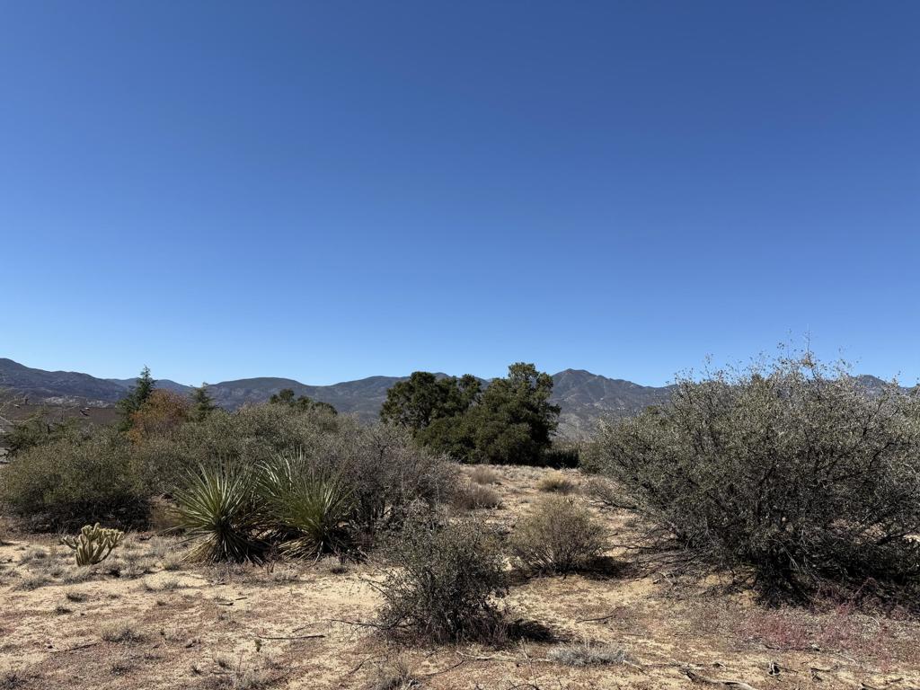 Alpine Village/Pyn P - Land