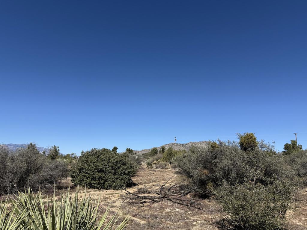 Alpine Village/Pyn P - Land