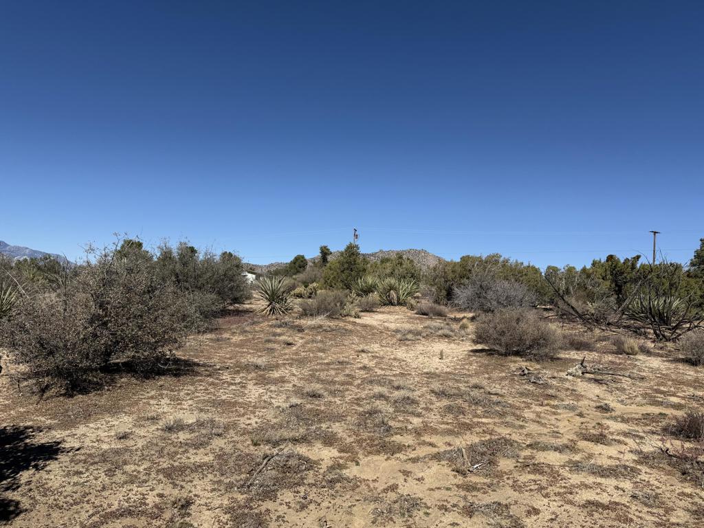 Alpine Village/Pyn P - Land