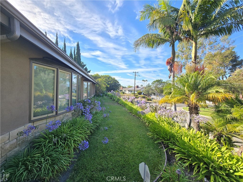 14 Palomino Lane