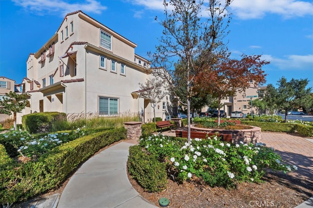 31163 Lavender Court