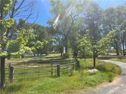 1638 Maple Leaf Paradise CA 95969