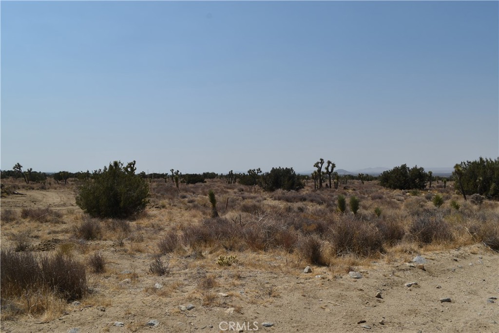 Opportunity to buy a flat land lot all usable. Away from the fast pace.