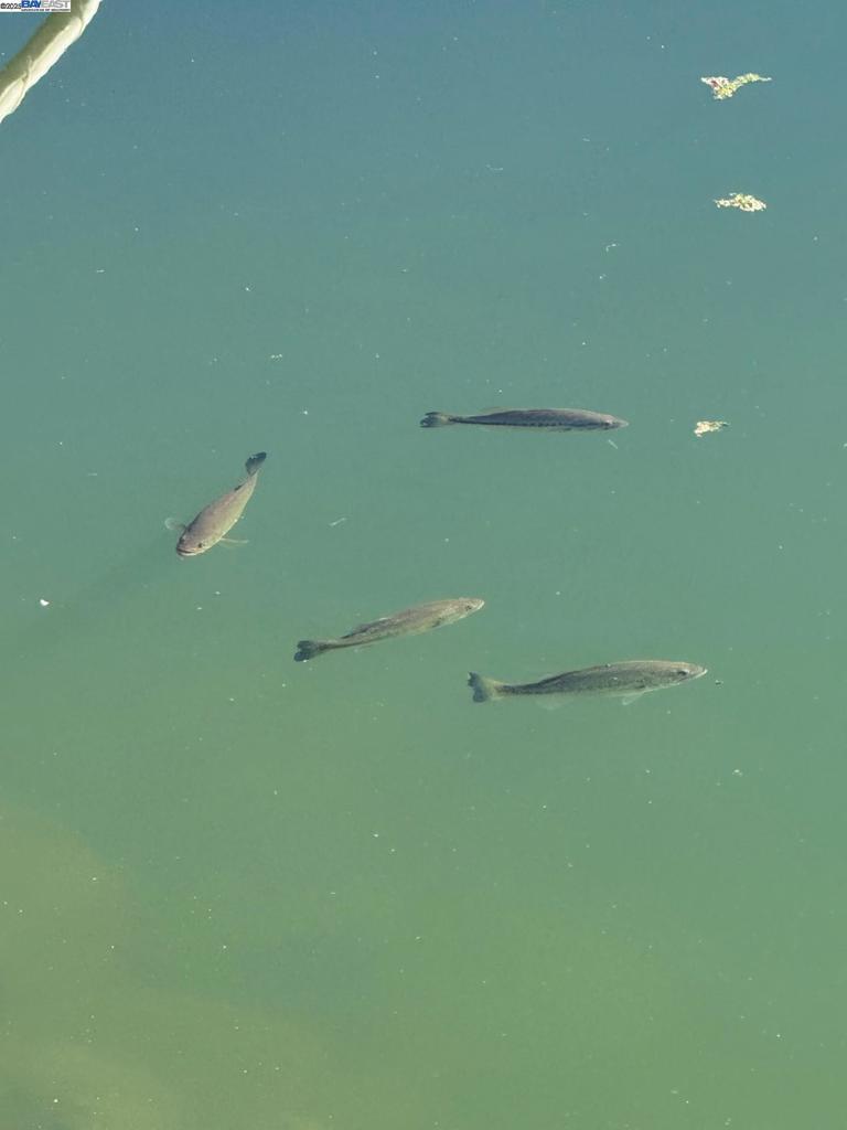 NEW YORK LANDING - Residential