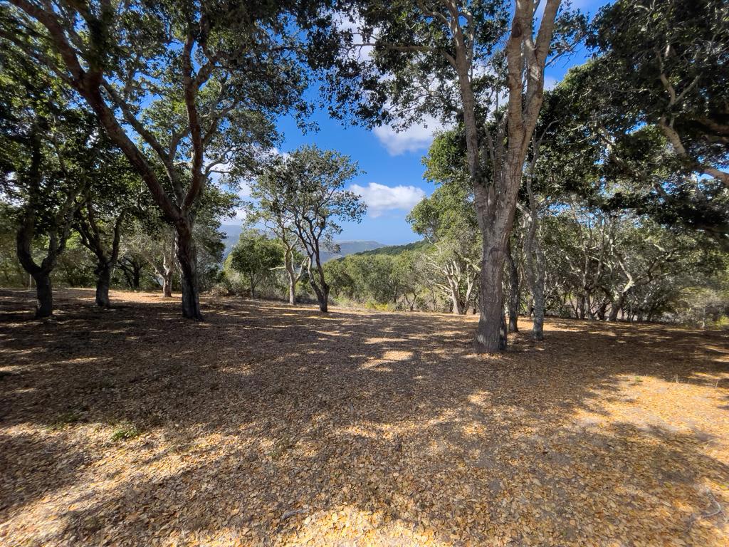 This stunning 43.50-acre hilltop parcel in the Mesa area of Santa Lucia Preserve offers breathtaking views of Penon Peak, the Santa Lucia Mountains , and a beautiful vignette of the Pacific to the west. The building envelope of 1.90 acres provides ample opportunity for a main residence, guesthouse, and caretaker cottage. With complete architectural plans designed by Tom Meany for a spacious 3997 SF home, along with a detached garage, gym, and pool, this lot is one of the last premier options with ocean views in this sought-after location. The architectural plans by Tom Meany Architecture detail a luxurious 3997 SF home designed to maximize the stunning views from the hilltop site. The plans include spacious living areas, a modern kitchen, and multiple outdoor spaces for entertaining. Additionally, there are provisions for a detached garage, gym, and pool, ensuring that all your needs for comfort and leisure are met in this beautiful setting.
