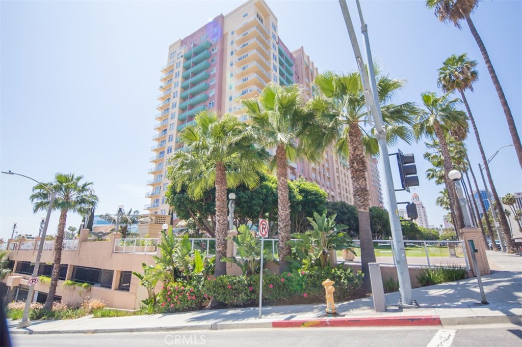 Downtown (DT) - Residential Lease