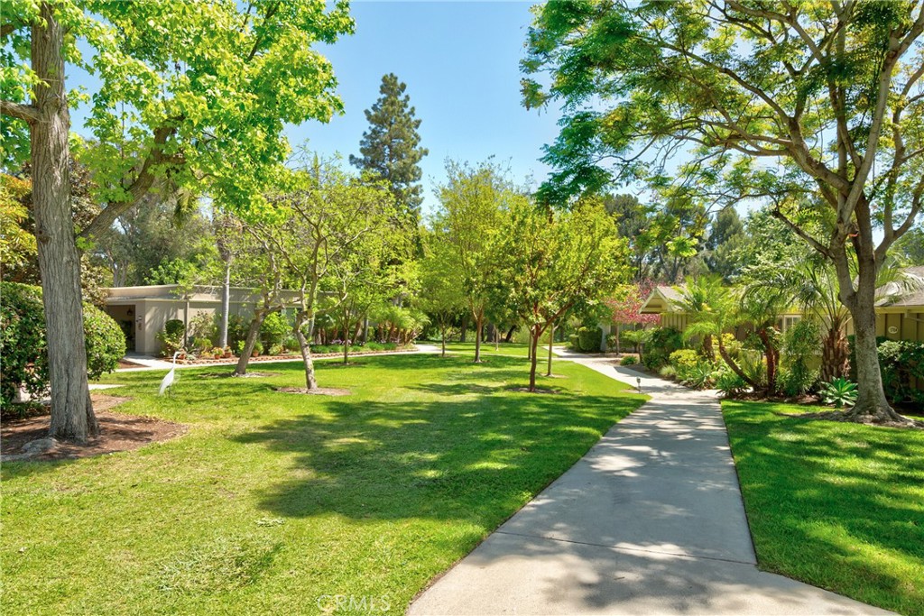 173 Avenida Majorca D