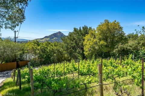 Tiny photo for 161 Longview Lane, San Luis Obispo, CA 93405 (MLS # PI26080192)