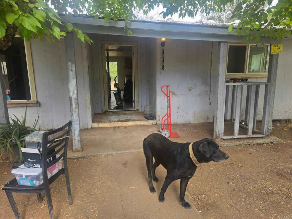 10105 N Star Drive