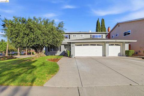 Photo of 518 Churchill Park Dr Dr, San Jose, CA 95136 (MLS # 41128624)