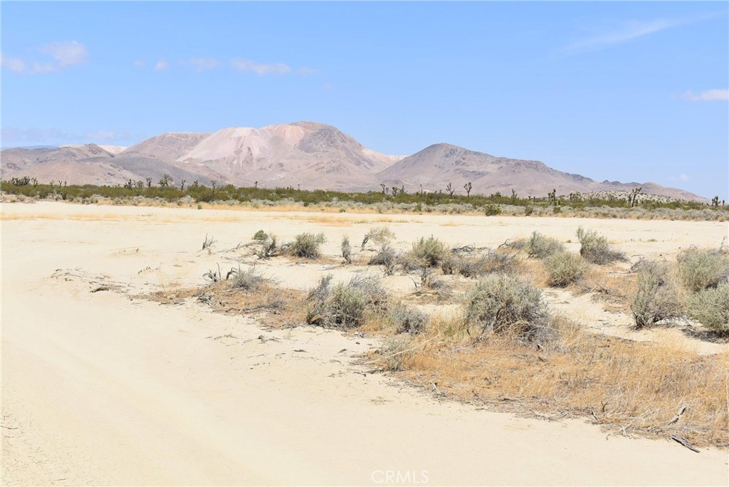 5 acre lot with 330 feet of frontage on Clark St, just north of Champagne Ave & east of 30th St West. Dirt roads lead to lot. Camp out, bring your ATVs, or build your off-grid home. APN 431-053-21-00-9. Zoned for agriculture, animals, and a residence.