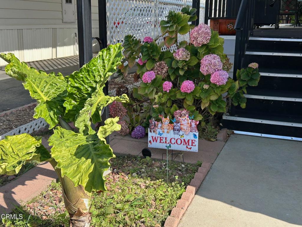 Buenaventura MHP - 0292 - Manufactured In Park